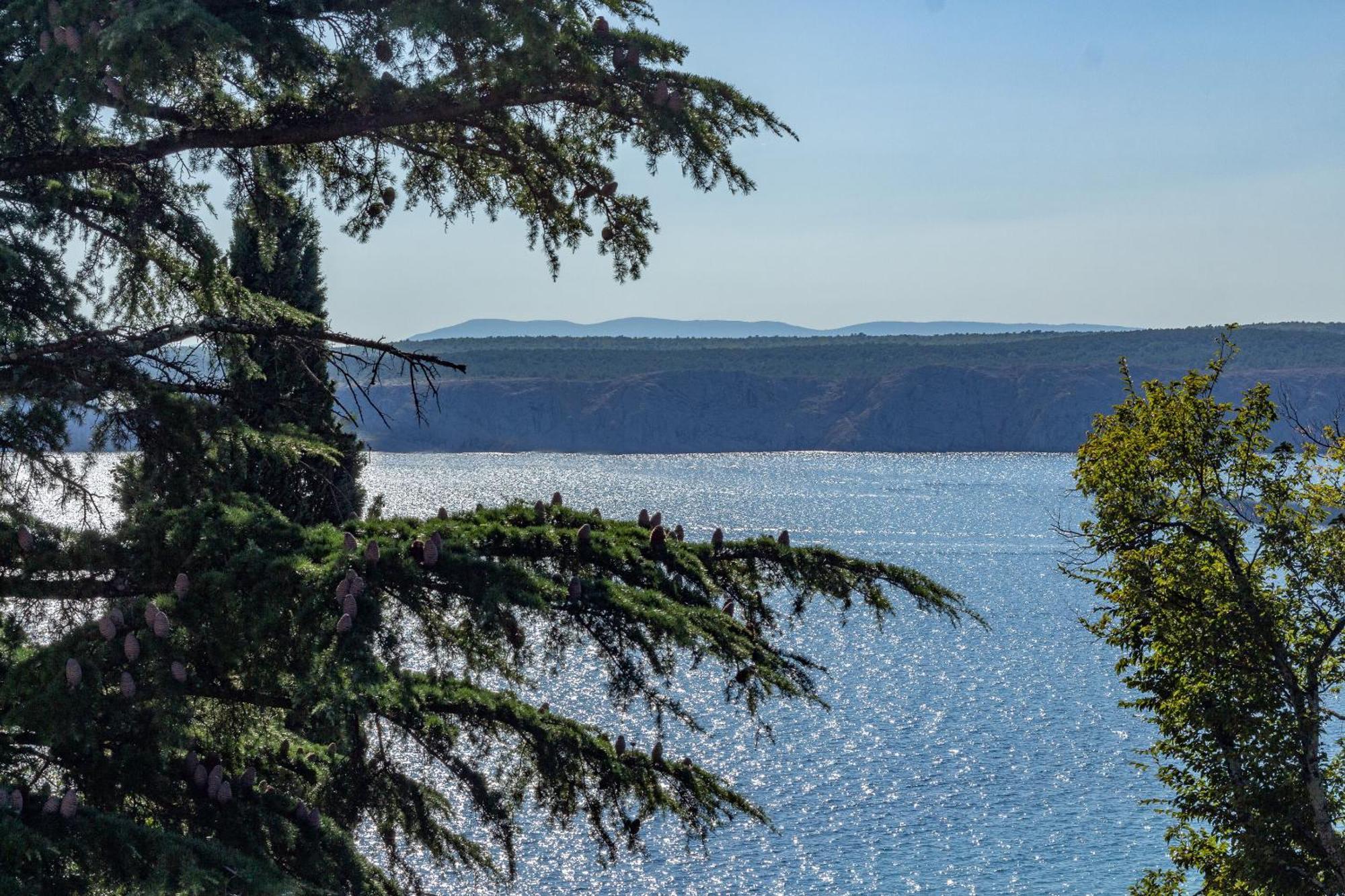 Apartment Seneca Ядраново Екстер'єр фото